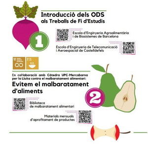 Primera ‘biblio’ digital per la lluita contra el malbaratament alimentari a Espanya