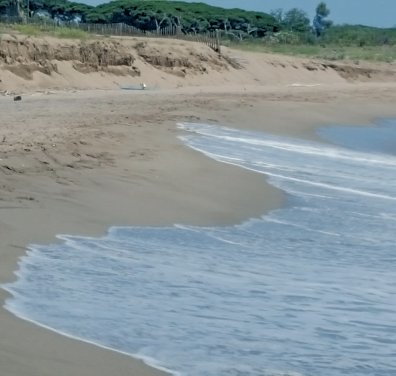 Una barrera artificial para regenerar el litoral del Baix