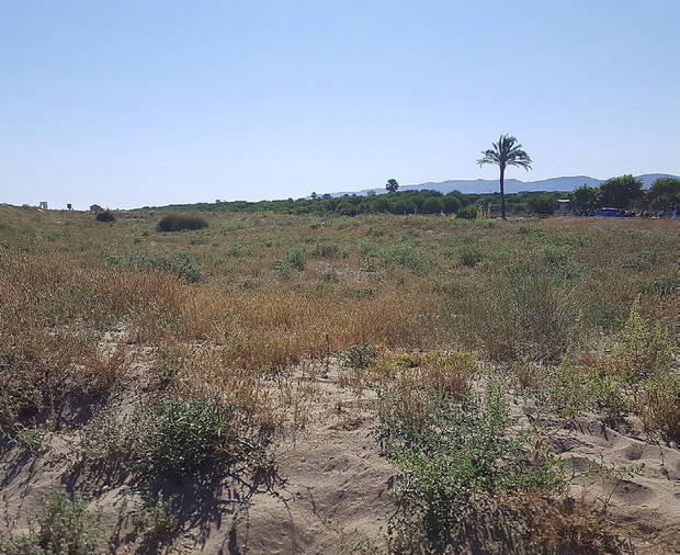 Playa de El Prat: una joya en peligro de extinción