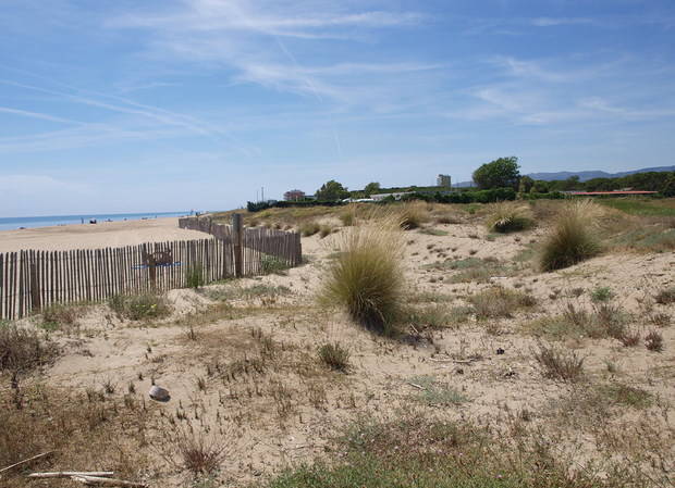 La Platja de Viladecans, un paradís dunar