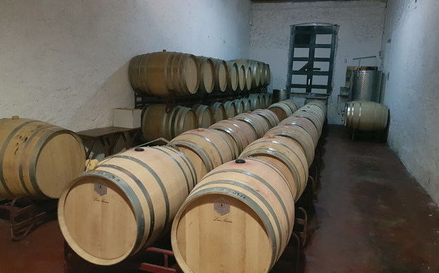 L’oblidat gran celler de Catalunya