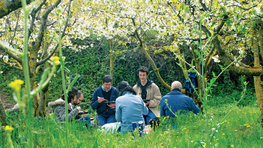 Primavera metropolitana