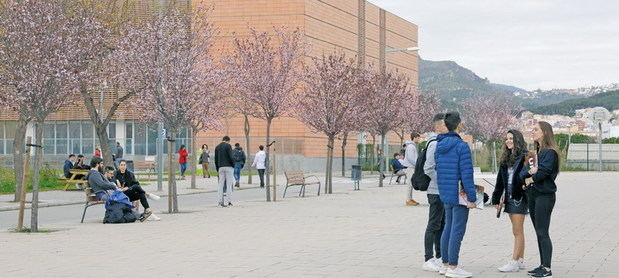 Generar coneixement a la Universitat