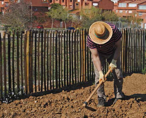 L’ horticultura de ciutat posa la llavor a l’accent social
