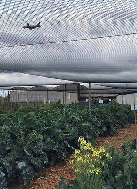 L’Internet de les Coses, l’eina per guanyar competitivitat al sector agroalimentari