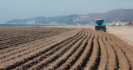 El litoral del Baix, preparat per l’estiu