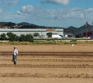 El valor (in)calculable del Delta del Llobregat
