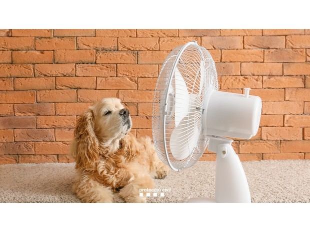 El PROCICAT activa la alerta por una intensa ola de calor en Catalunya