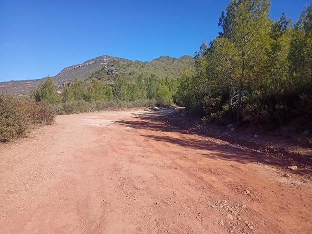 Finaliza el arreglo de los caminos forestales del Coll de les Bruixes y la Casanova