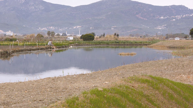 Estanque de la Murtra