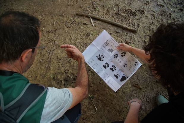 El entorno del río Llobregat concentra más de 2.500 especies de flora y fauna