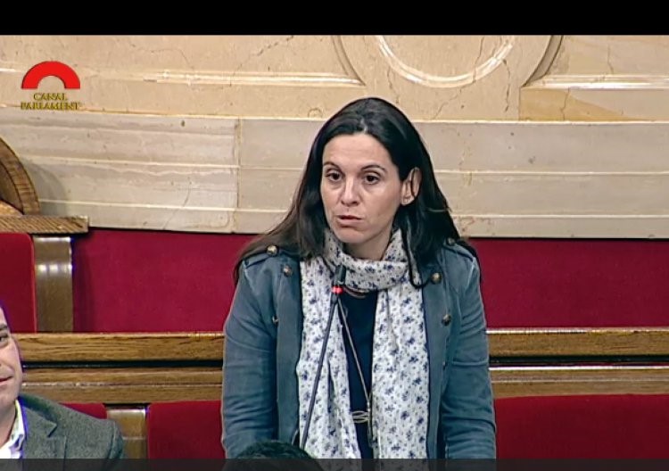 La Generalitat demanarà al Govern de l’Estat el Metro del Delta