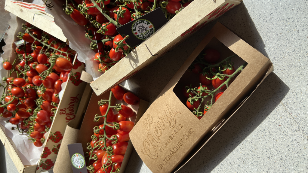 Prepárate para la cata de tomates más grande del mundo en la Festa del Tomàquet de Viladecans