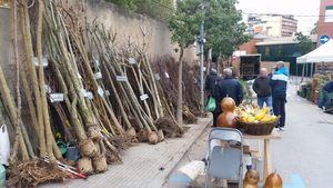 La Fira de la Candelera de Molins de Rei se mantendrá fiel a la tradición pero reducida al 15%