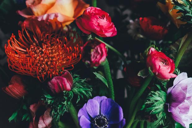 Representación gráfica de flores en alfombras