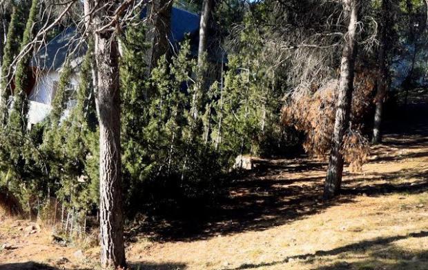 Mejor prevenir que curar. Castelldefels crea franjas de protección contra incendios en tres barrios
