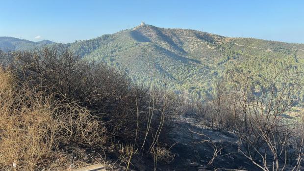 Urgente: Controlado el incendio forestal del Parc de Mas Ratés en Viladecans