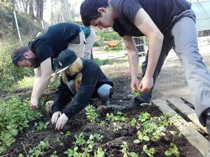 Una veintena de jóvenes de Sant Andreu de la Barca empiezan a formarse como agricultores en los huertos municipales