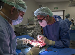 De la generosidad a la tecnología: así lidera el Hospital de Bellvitge los trasplantes renales en España