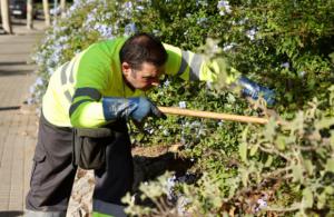 L'Hospitalet lucha contra las plagas de ratas en los espacios verdes: campaña de control de roedores