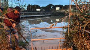 Las inundaciones arrasan los campos de Viladecans y Gavà y causan pérdidas a los agricultores