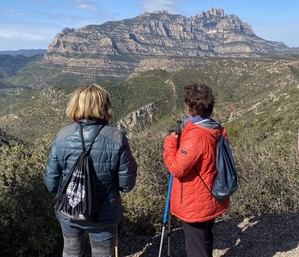 Olesa celebra el Día Internacional de los Bosques con actividades gratuitas el 21 de marzo de 2026