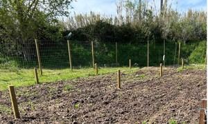 Olesa abre la convocatoria para solicitar 43 huertos urbanos desde el 23 de febrero hasta el 13 de marzo