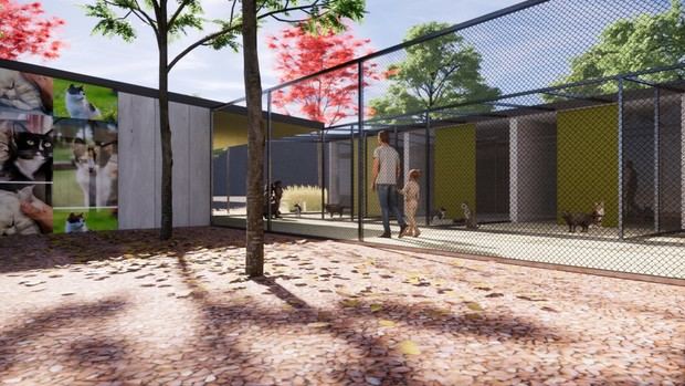 Martorell contará con un nuevo refugio felino para septiembre, promoviendo la adopción responsable