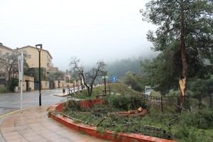 Castellví revisa daños en el mobiliario urbano tras la tormenta de viento del 12 de febrero