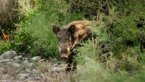 Reabierto el acceso al medio natural, pero se mantienen limitaciones en actividades grupales
