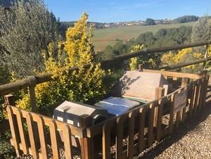 Sant Esteve reubica colonia de gatos del edificio Fòrum para su protección y bienestar