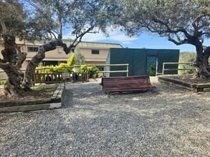 Reubicación de la colonia de gatos en el paseo de las Oliveres con un confinamiento temporal en Sant Boi