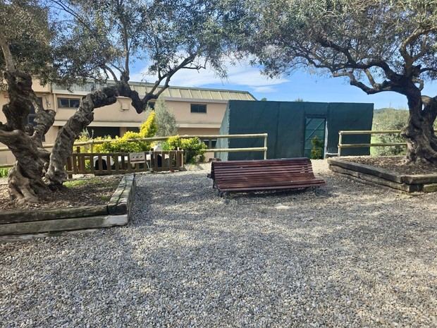 Reubicación de la colonia de gatos en el paseo de las Oliveres con un confinamiento temporal en Sant Boi