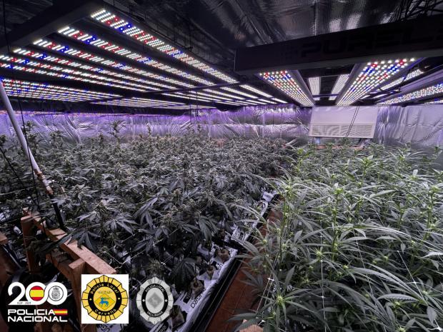 La silenciosa casa de Vallirana que escondía un secreto: así cayó la mayor planta indoor de marihuana