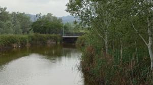 Castelldefels atribuye la muerte de peces en la Olla del Rei a causas naturales