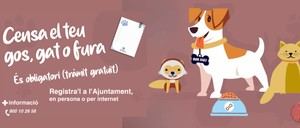 Sant Just Desvern aprueba una nueva ordenanza que protege los derechos de los animales