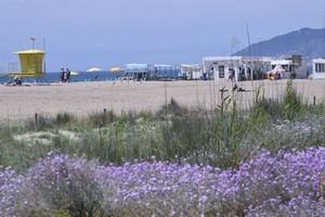 Castelldefels mantiene la Q de Calidad Turística para su playa en 2026