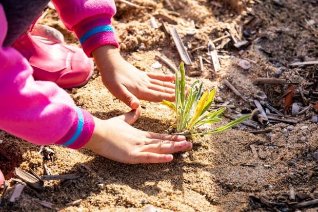 La Acció Platges Met promueve la biodiversidad en Gavà el 19 de octubre