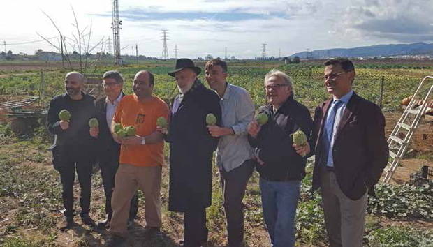 La alcachofa de El Prat podría entrar en el ‘Arca del Gusto’ del impulsor del ‘Slow Food’, Carlo Petrini