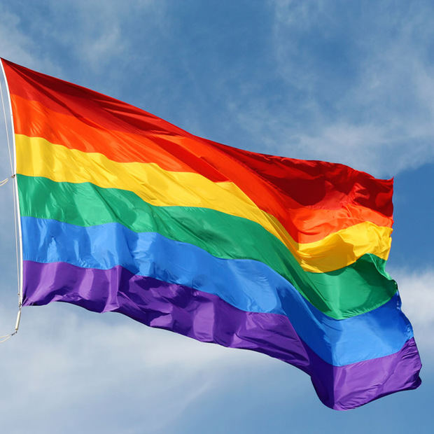 El Consell Comarcal creará un servicio de atención integral LGBTI