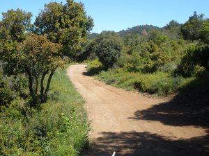 Sant Just exige civismo en las excursiones a Collserola por la expansión del covid-19