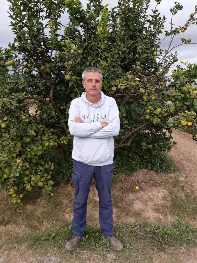 Lluís Solanas: “Nuestro objetivo es llegar a un millón de kilos de nuestras alcachofas al año”