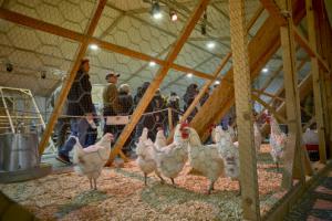 Maria Nicolau defiende el Pota Blava como símbolo de cultura y vida en la Fira Avícola