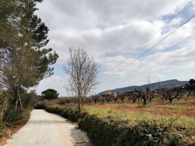 Apoyo unánime: Castellví respalda al campesinado local y exige medidas urgentes a la Generalitat