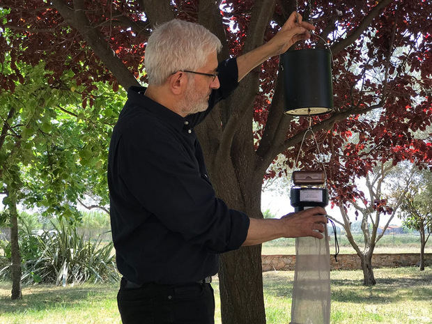 Nueva actuación de prevención y control de plaga mosquitos en el Baix Llobregat