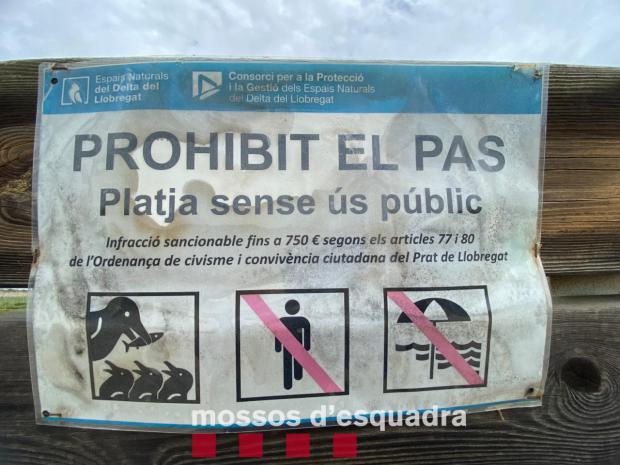 Los Mossos d'Esquadra denuncian a cuatro personas por acceder a una playa protegida en el Delta