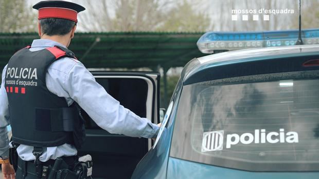 Dos detenidos tras desmantelar una plantación de marihuana en una nave de Sant Andreu