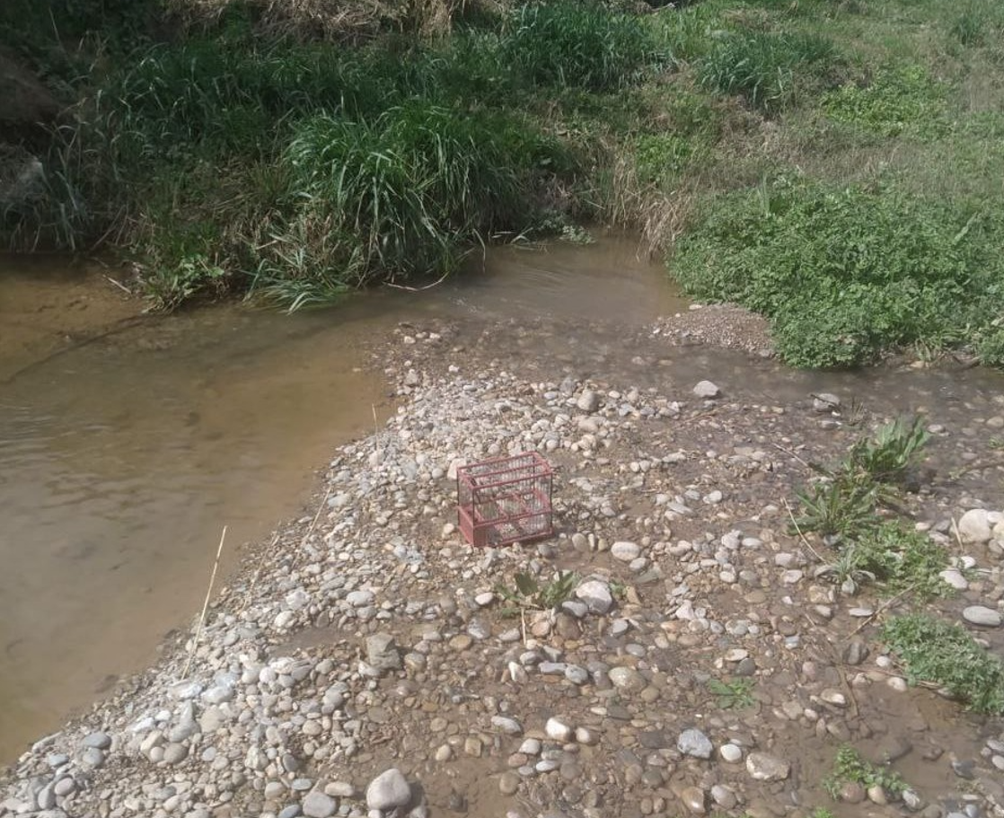 Dos hombres denunciados por caza ilegal de aves en Sant Vicenç dels Horts