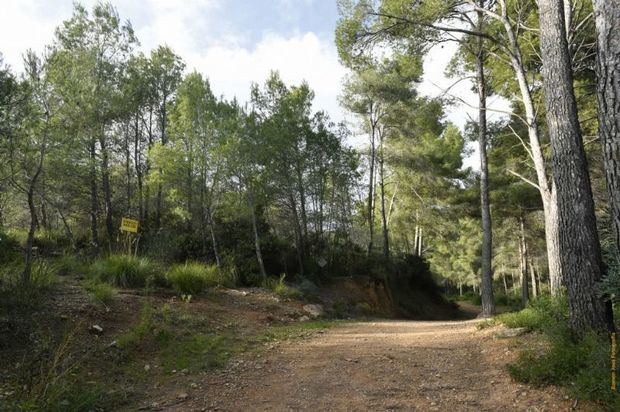 Los jóvenes del SIED recorrerán Castelldefels informando sobre los riesgos de incendio