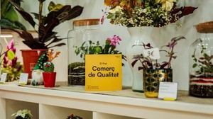 Nuevas subvenciones en El Prat para modernizar comercios con el sello de calidad hasta mayo de 2026